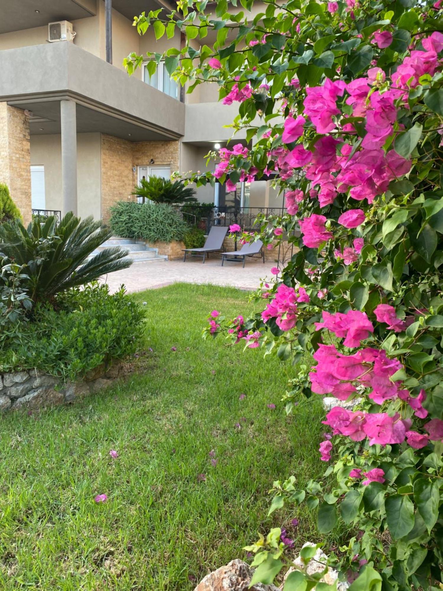 הוילה יאליסוס Eva'S Garden House מראה חיצוני תמונה